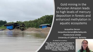 Gold mining in the Peruvian Amazon leads to high levels of mercury deposition in forests and enhanced methylation in aquatic ecosystems